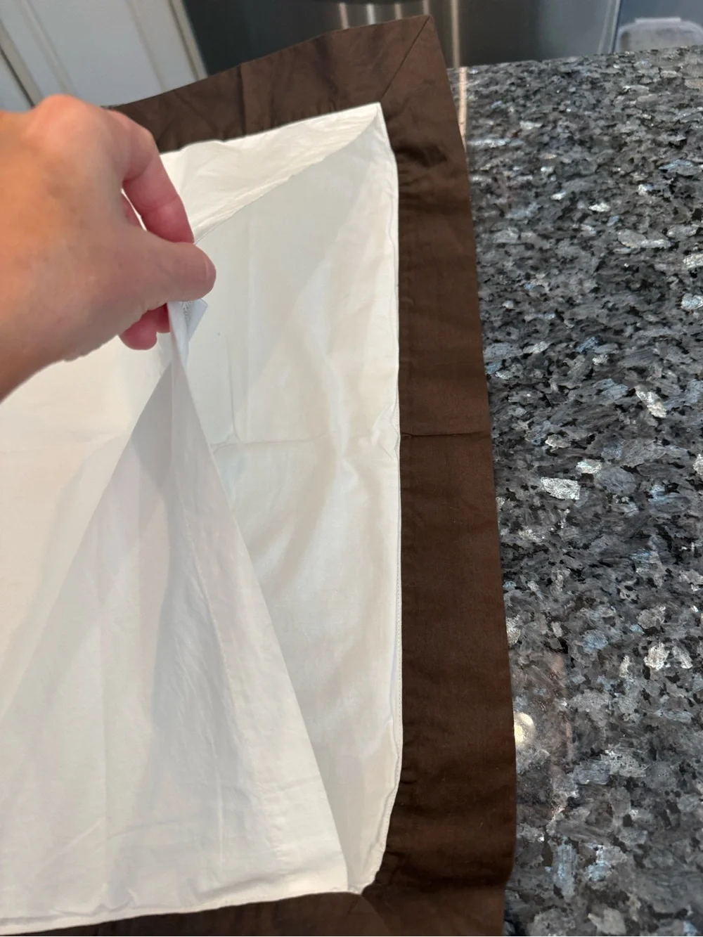 Restoration Hardware white and brown pillow shams see description